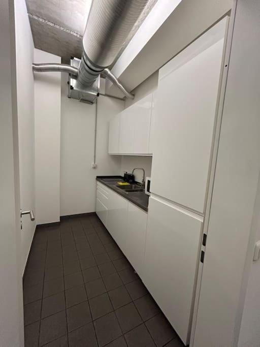Elbapartment 29 Qm Mit Eigenem Badezimmer Hamburg Kültér fotó